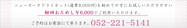 ニューヨークドライカット、初回おためし6,000円でご用意しております。
